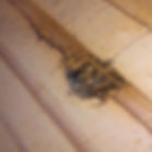 picture 2.jpg