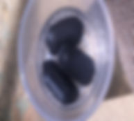 443.jpg